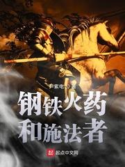 钢铁火药和施法者设定