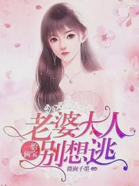 叶南弦沈蔓歌的名字