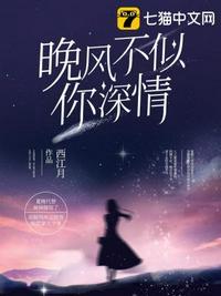 晚风不及情深