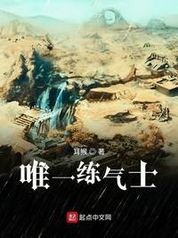 大秦唯一的练气士