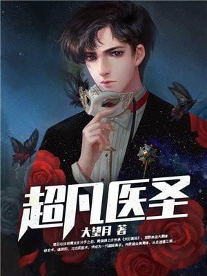 超凡医圣叶风