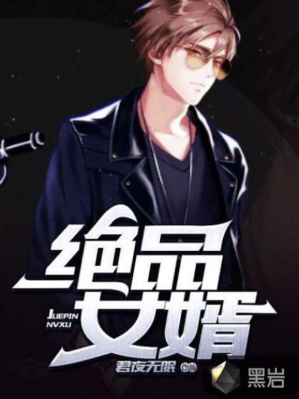 极品豪婿宋离全文阅读