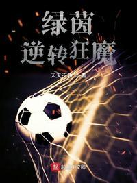绿茵逆转狂魔123读