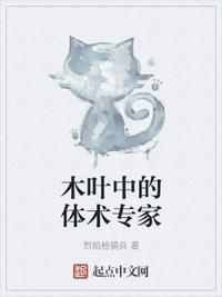 木叶之体术成神