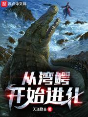 湾鳄的实力