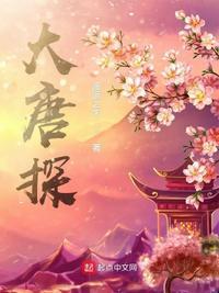 大唐探案组