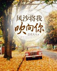 风沙将我吹向你什么意思
