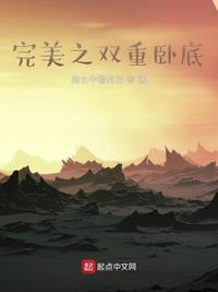 完美之双重卧底txt
