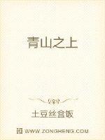 青山之阳什么意思