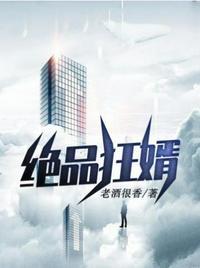 绝品狂婿张恒陈婉