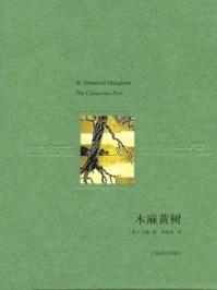 树青科技有限公司