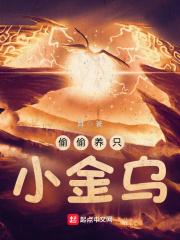 偷偷养只小金乌有几个女主