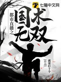 都市之国术无双顶点