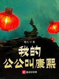 我的公公叫康熙为什么停更