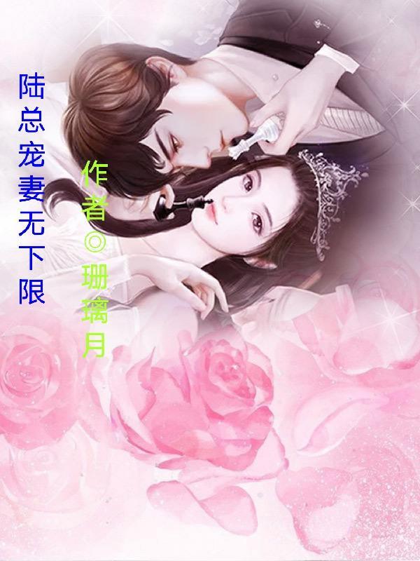 陆总裁宠妻无度