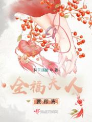 全福夫人要和离写完了嘛