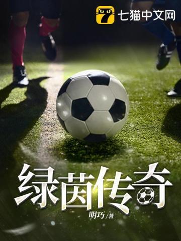 绿茵传奇中场荣耀 西北有高楼