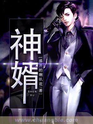 神婿叶凡免费完整版