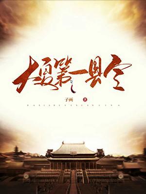 大夏第一县令百度