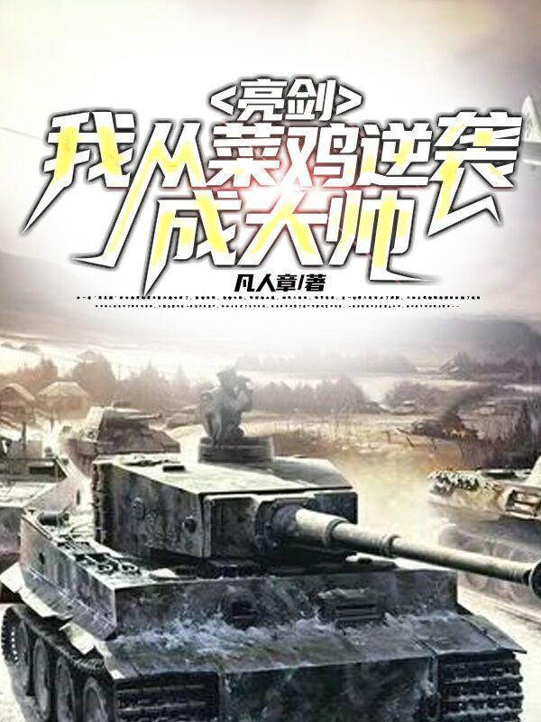 亮剑神级返还开局接手独立团