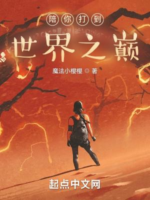 陪你打到世界之巅百度百科