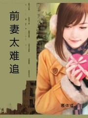 前妻太难追总裁不可以 落雪无痕