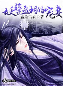 妖孽丞相的宠妻完整版