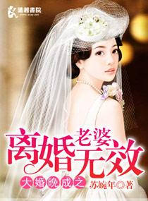 大婚晚成之老婆别想逃