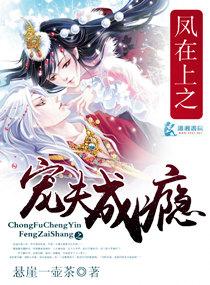 凤在上宠夫成瘾TXT