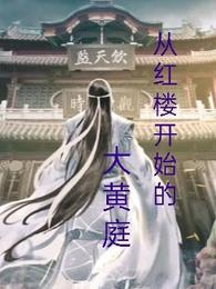 从红楼开始的大黄庭起点