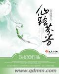 仙路何方百度百科