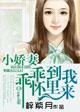 小妻乖乖让我宠155章