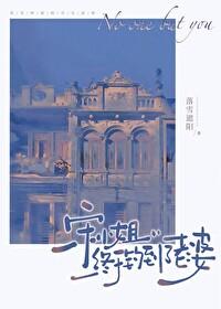 宋小姐终于钓到了老婆落雪遮阳宋锦芊