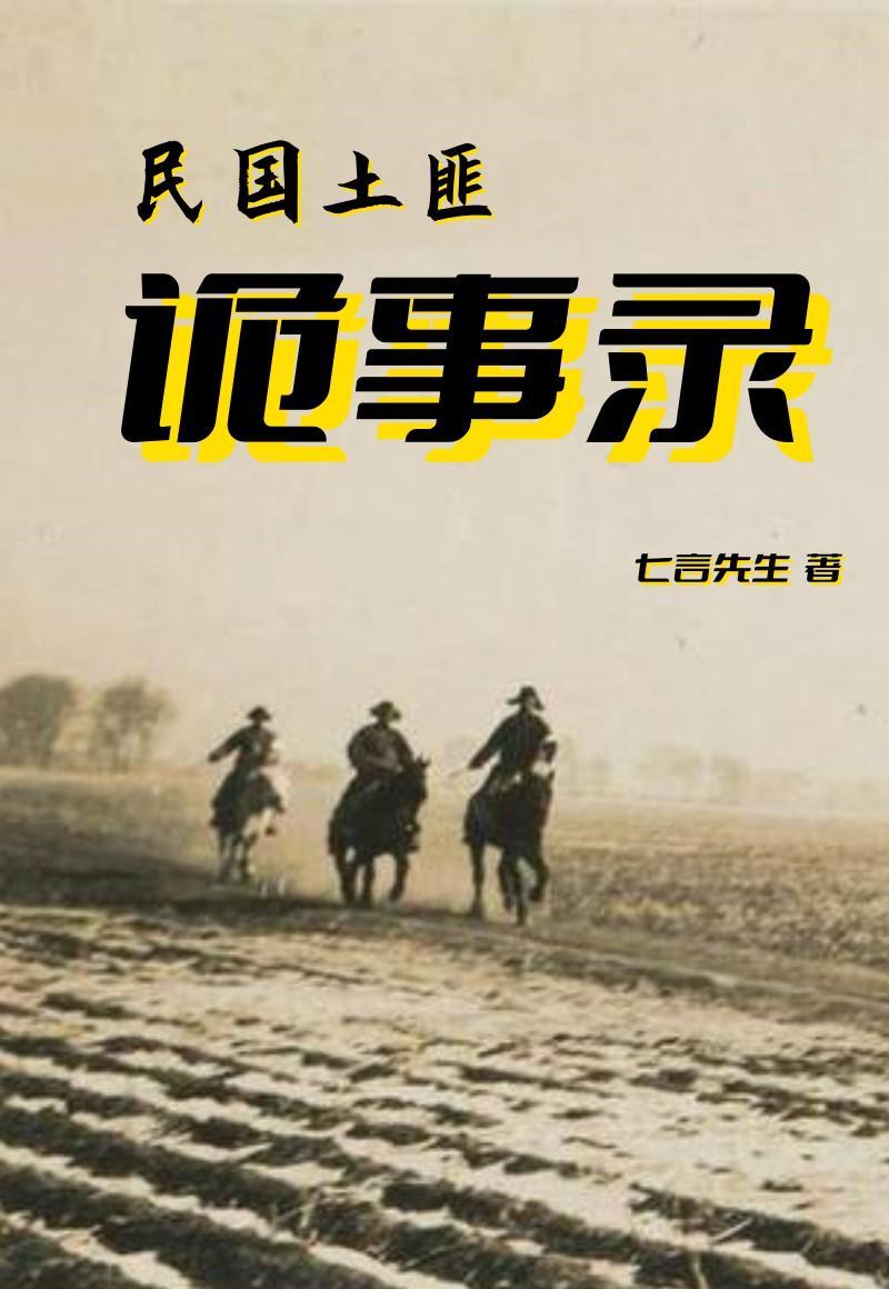 民国土匪村全文阅读