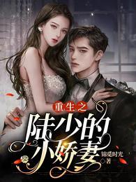 重生陆少小甜妻