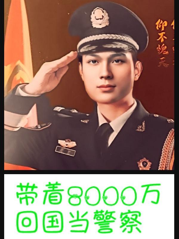 带着8000万回国当警察剧情介绍