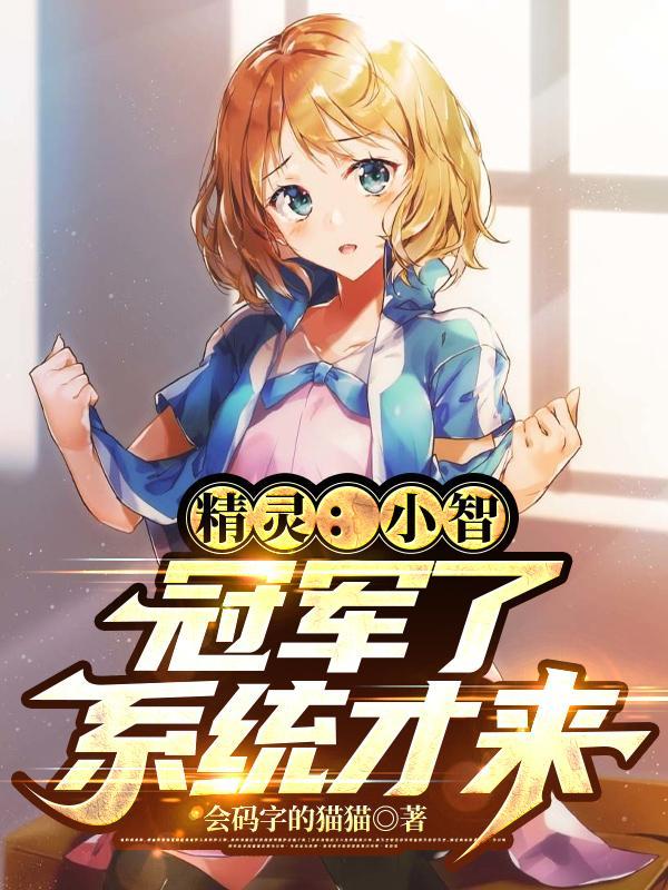 神奇宝贝小智冠军之战