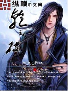 乾元破解白虎探头