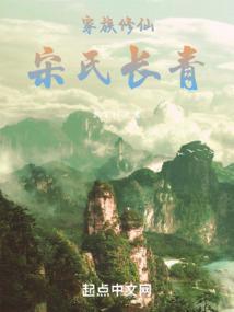 宋氏家族 书