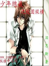 都市之少年总裁