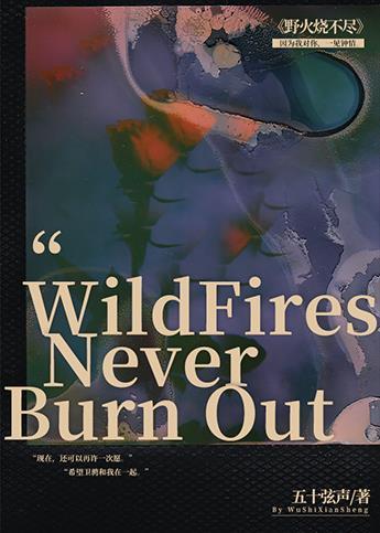 野火烧不尽刑侦