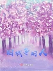 旧城故人