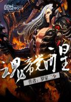 魂帝觉醒 罗家二少