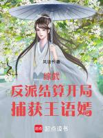 综武反派结算开局捕获王语嫣的
