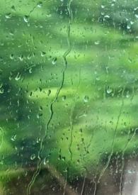 雨季全文