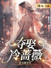 冷蔷薇这首歌