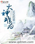 大神都过不了