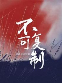 不可复制的上市公司