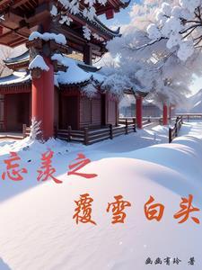 忘羡晋江雪霁