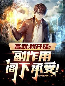 高武我开挂副作用阁下承受